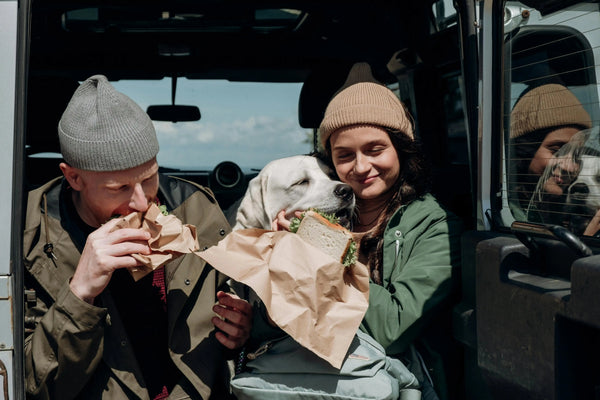 Jeune couple actif en road trip en van avec leur chien, immortalisant les plus beaux souvenirs de voyage partagés avec leur compagnon