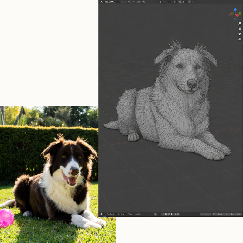 Un écran affichant un dessin 3D de chien juste à côté de la photo d'origine, illustrant notre capacité à reproduire n'importe quel animal à la demande.