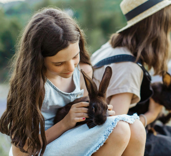 Enfant avec son petit lapin dans les bras, illustrant la mémoire et le souvenir affectueux de tous les nouveaux animaux de compagnie (NAC)