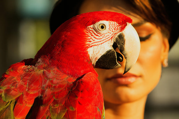 Jeune femme avec son oiseau de compagnie sur l'épaule, illustrant la possibilité de créer des statues commémoratives pour tous les animaux domestiques