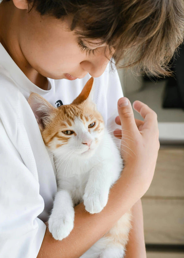 Enfant câlinant son chat adoré, symbolisant l'amour inconditionnel et l'hommage éternel à son premier compagnon à quatre pattes.