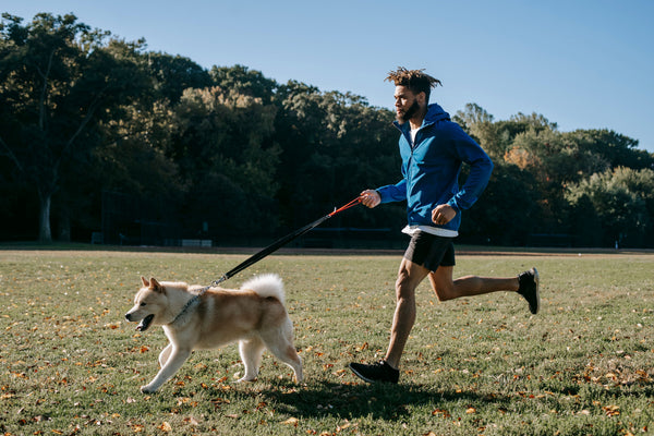 Un jeune coureur en pleine session de course à pied aux côtés de son chien énergique, illustrant la mémoire d'un complice de chaque instant
